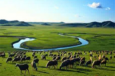 CWT膜装备落户“世界屋脊” 治理高原农牧水污染