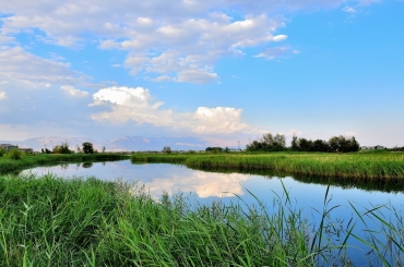MBR南水北调水源地应用加码 市场拉升动力强劲